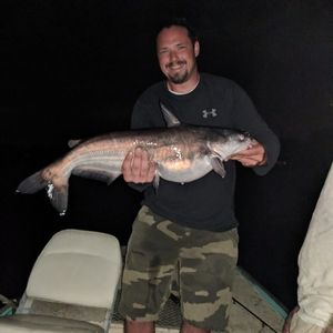 Meet your Posher, Hunter